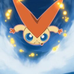 VICTINI WALLPAPER