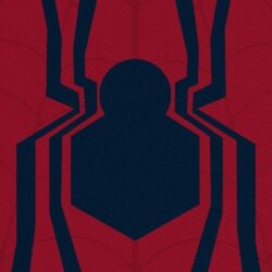 Spiderman Logo [] : Verticalwallpapers