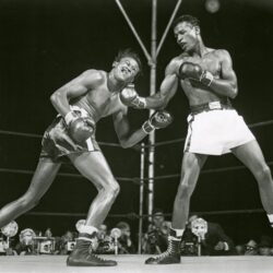 Sugar Ray Robinson puts the kibosh on Kid Gavilan