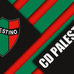 Download wallpapers Club Deportivo Palestino, 4k, Chilean football