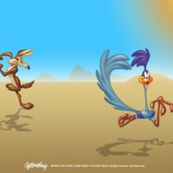 Road Runner & Wile E. Coyote