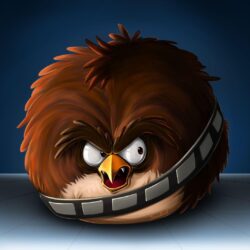 Angry Birds Star Wars Chewbacca Desktop Wallpaper!