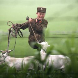 North Korea’s 2013 Summed Up In 13 Photos