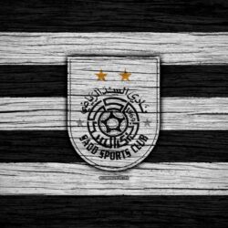 Download wallpapers Al Sadd FC, 4k, logo, Qatar Stars League, soccer