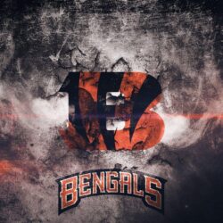 Cincinnati Bengals HD Wallpapers