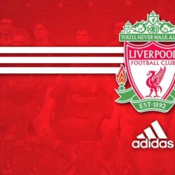 Collection of Liverpool Fc Wallpapers on Spyder Wallpapers