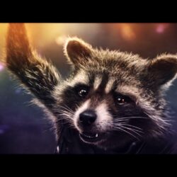 Rocket Raccoon wallpapers