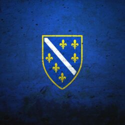 Flag of the Bosnian Kingdom wallpapers