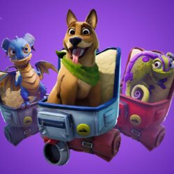 Fortnite’ season 6: Pets, shadow stones, and everything you need to