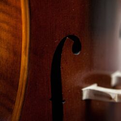 Image For > Cello Photography
