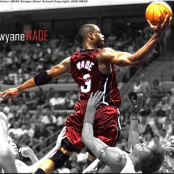 Gadgets Info Available: Miami Heat Wallpapers Dwyane Wade