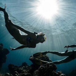 Divers HD Wallpapers