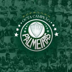 Palmeiras Wallpapers