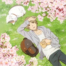 Male anime character digital wallpaper, Natsume Book of Friends