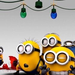 Minions decorating for christmas wallpapers