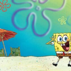 Spongebob at the Beach Spongebob Wallpapers