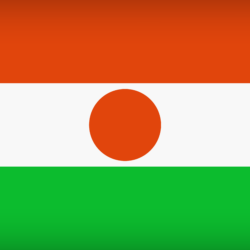 Niger Large Flag