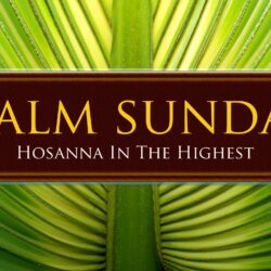 Palm Sunday 2014 Wallpapers Free Download HD Backgrounds