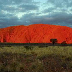 Uluru One Day Tour