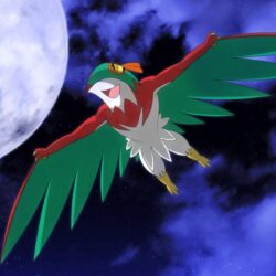 nightsky hawlucha wallpapers by Elsdrake