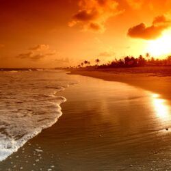 Beach Sunrise ❤ 4K HD Desktop Wallpapers for 4K Ultra HD TV • Wide