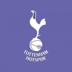 8 Tottenham Hotspur FC Desktop Wallpapers
