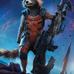 Download Rocket Raccoon Guardians Of The Galaxy 5k HD 4k