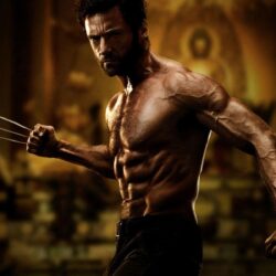 Wolverine Wallpaper: X Men Wolverine Wallpapers