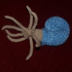 Knitwittering: Blue Floyd, Nautiloid