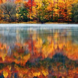 HD Morning Nature Usa Lake New Hampshire Reflection Autumn Fog