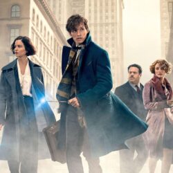 17 Fantastic Beasts and Where to Find Them HD Wallpapers