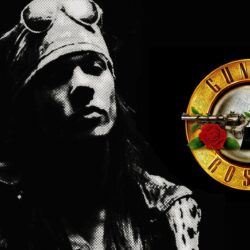 Axl Rose Guns N Roses HD Wallpapers High Definition High