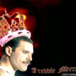 Freddie Mercury wallpapers