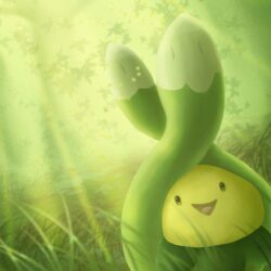 Budew by Cinnamon