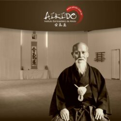 Pix For > Aikido Wallpapers