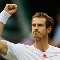 High Quality Andy Murray Wallpapers