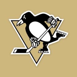 Check this out! our new Pittsburgh Penguins wallpapers