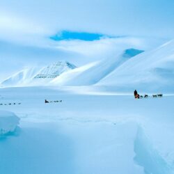 In Svalbard : wallpapers