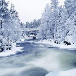 Awesome Bridge And Ice Winter Wallpapers High D Wallpapers