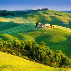 Wallpapers sunlight, Tuscany, countryside, Italy, nature, trees