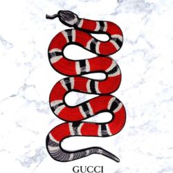 Gucci Snake Wallpapers