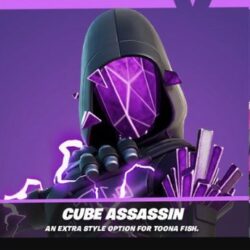 Cube Assassin Fortnite wallpapers