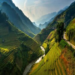 Stunning Rice Terraces