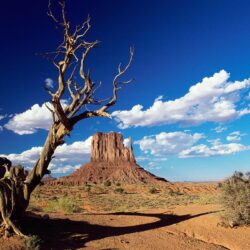 Arizona Wallpapers Widescreen