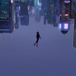 SpiderMan Into The Spider Verse 2018 Movie, HD Movies, 4k Wallpapers