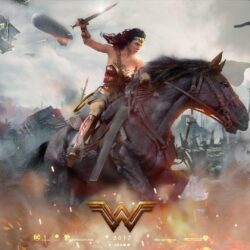 2017 Wonder Woman Movie Fan Art