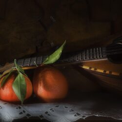 Image Mandolin Orange fruit Food Musical Instruments