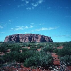 Deserts: Uluru Desert Red Shrubs Dingo Rock Large Australia Outback