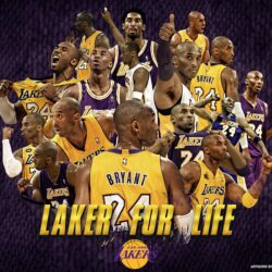 Lakers Wallpapers HD collection
