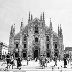 bw, bird, black and white, bw, cathedral, cathedral square, downtown